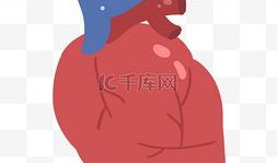 心脏漫画图,人体生命泵的奥秘与功能