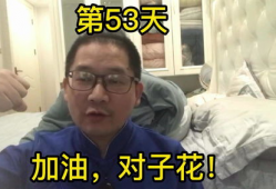 金铲铲直播s91dx,金铲铲直播界的璀璨明星